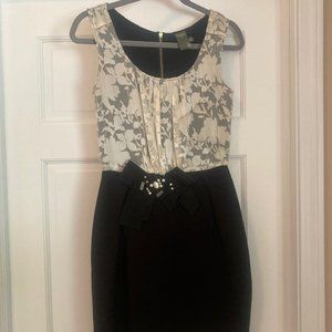 Fitted Taylor Dress - Size 4